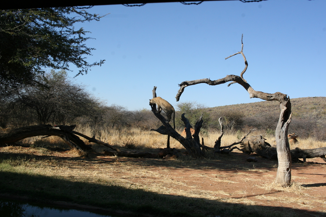 [6134] 2016_06_23_10_38_31_Africa_Canon_EOS_30D_IMG_1868_00133.jpg