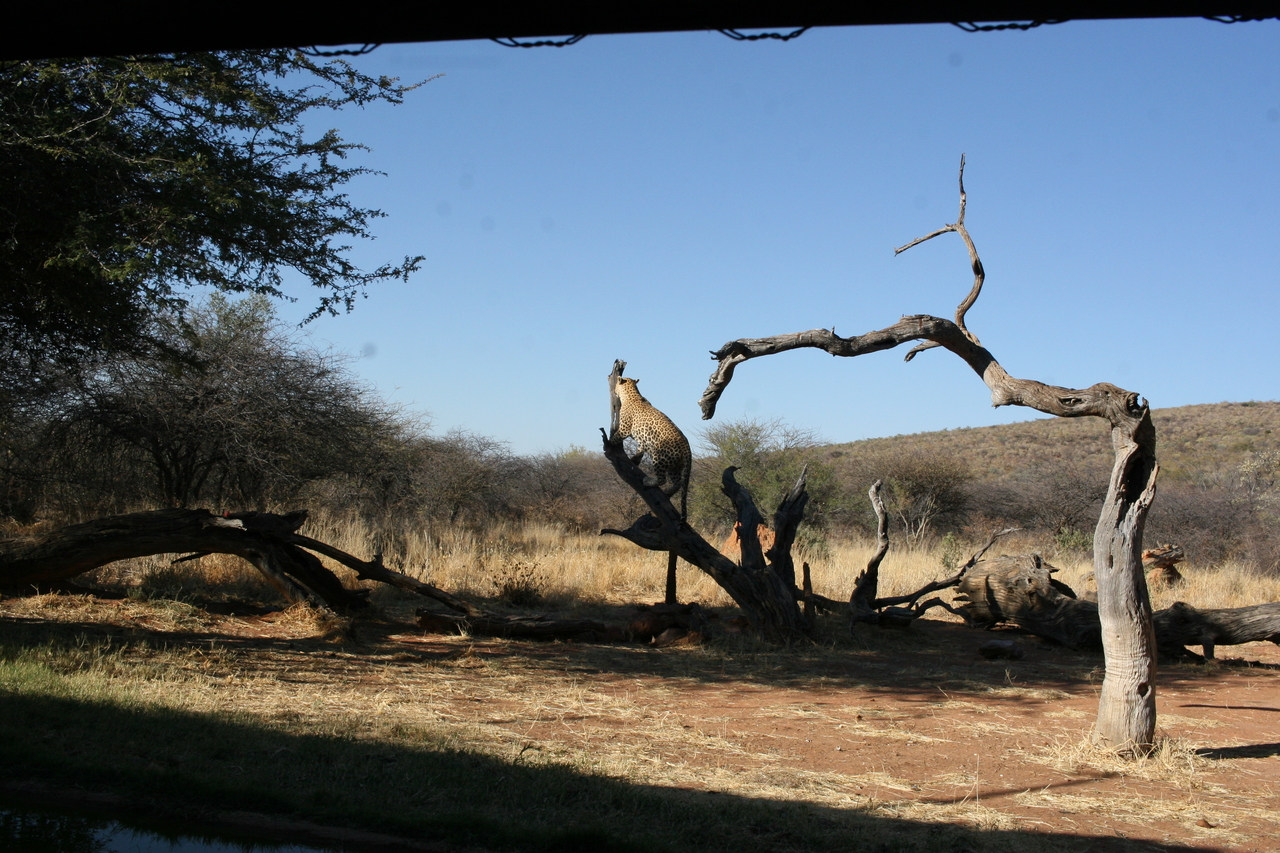 [6137] 2016_06_23_10_38_34_Africa_Canon_EOS_30D_IMG_1869_00313.jpg