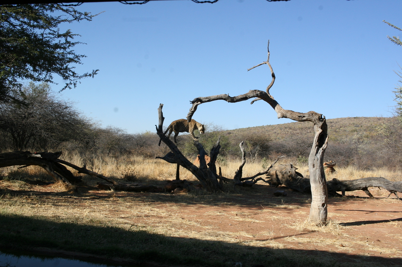 [6139] 2016_06_23_10_38_40_Africa_Canon_EOS_30D_IMG_1870_00314.jpg