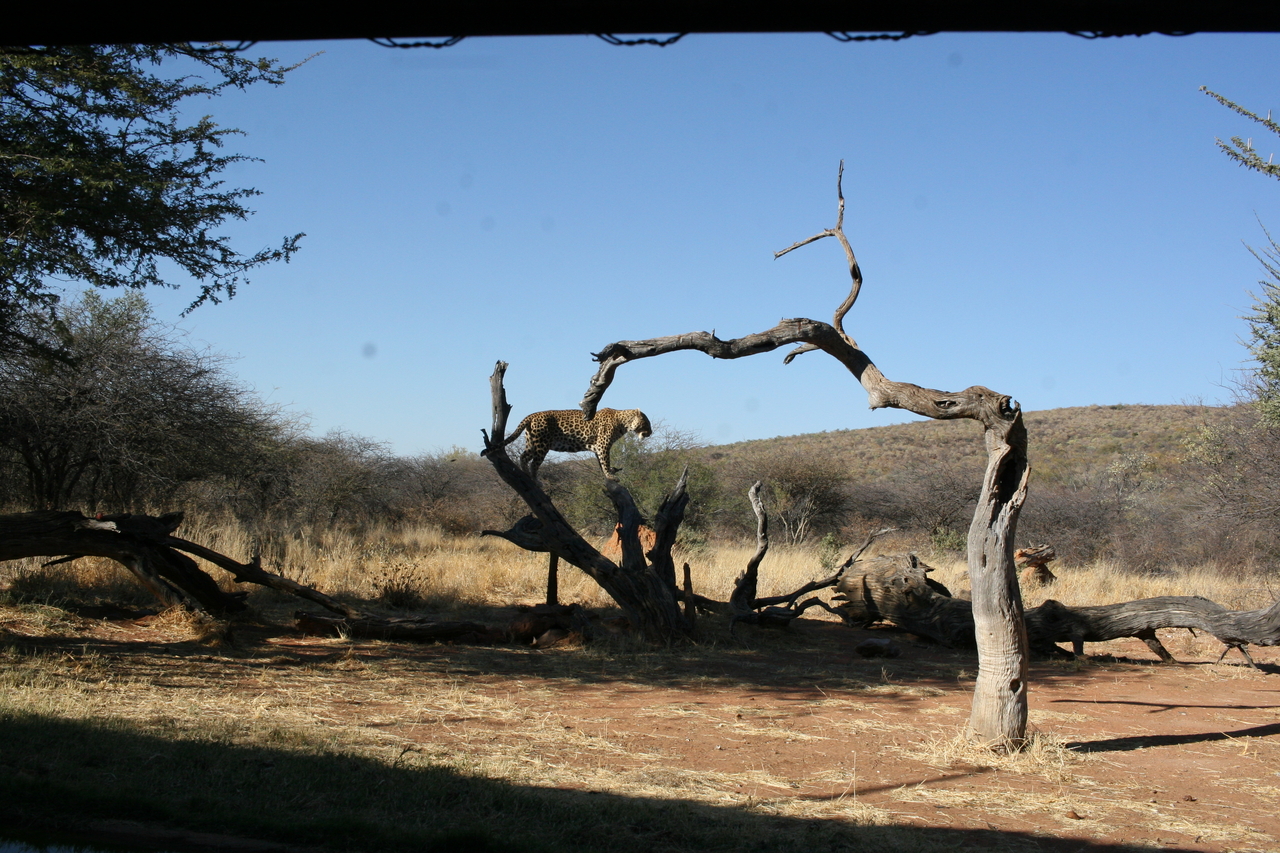 [6142] 2016_06_23_10_38_46_Africa_Canon_EOS_30D_IMG_1872_00137.jpg