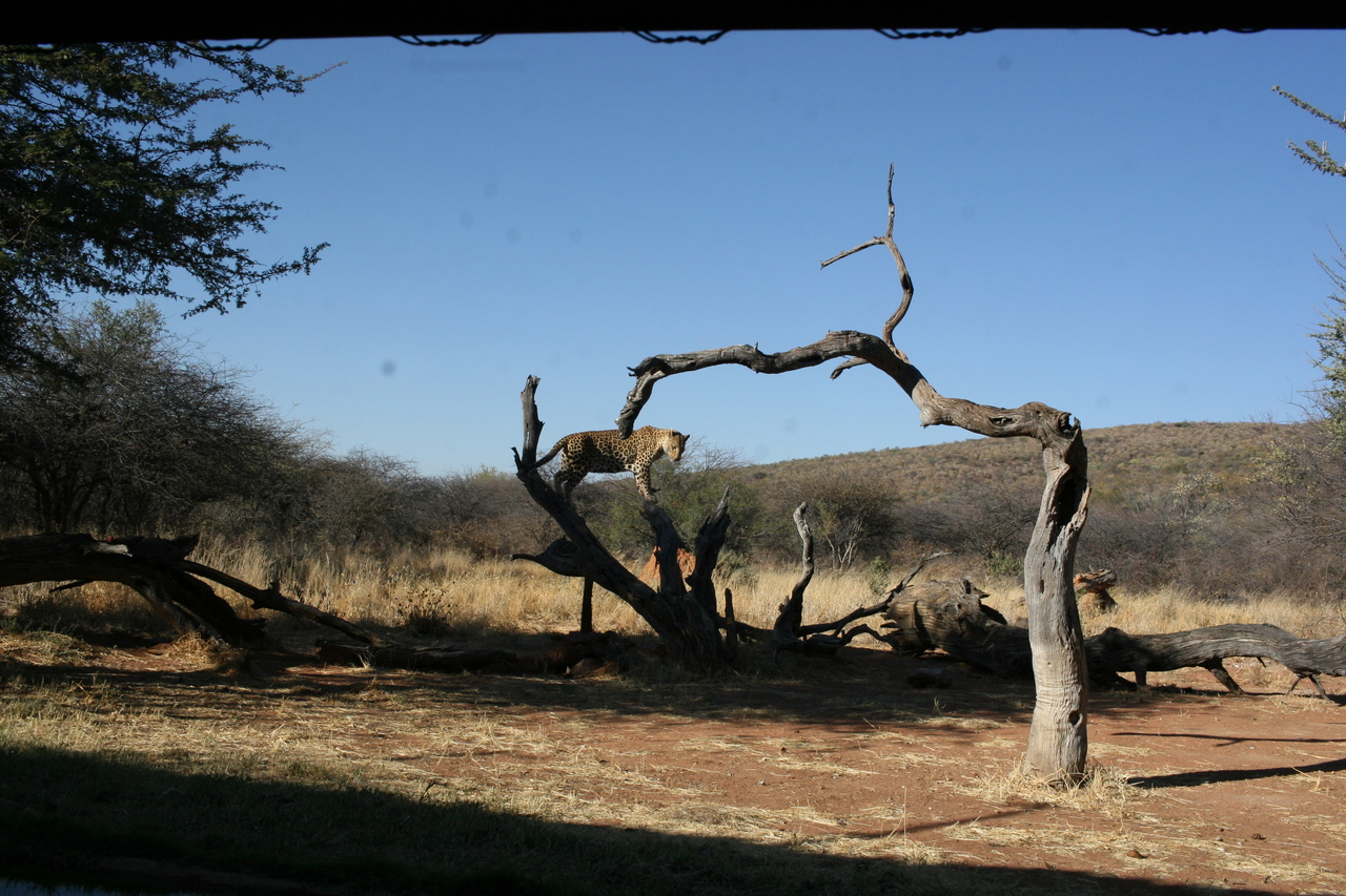 [6145] 2016_06_23_10_38_48_Africa_Canon_EOS_30D_IMG_1873_00317.jpg