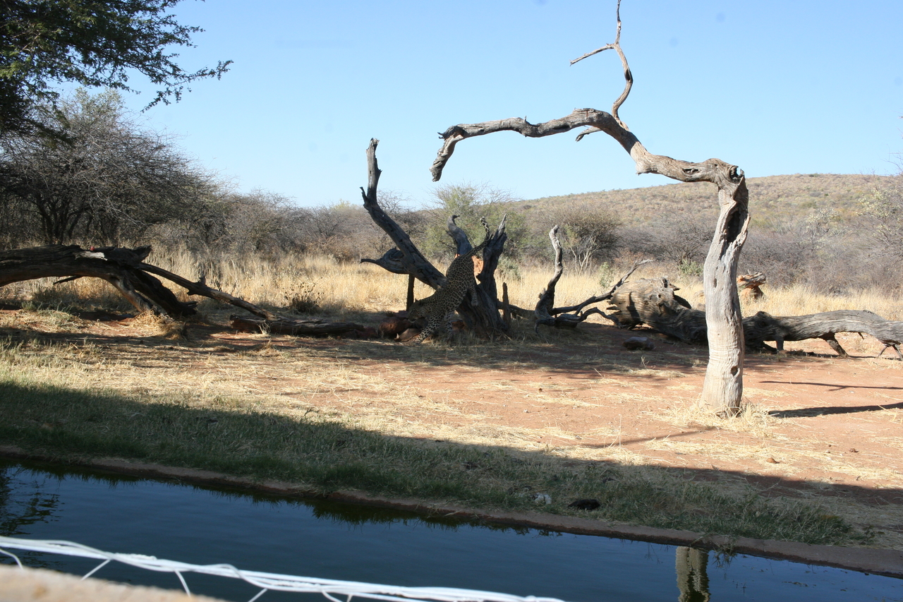 [6151] 2016_06_23_10_39_02_Africa_Canon_EOS_30D_IMG_1876_00320.jpg