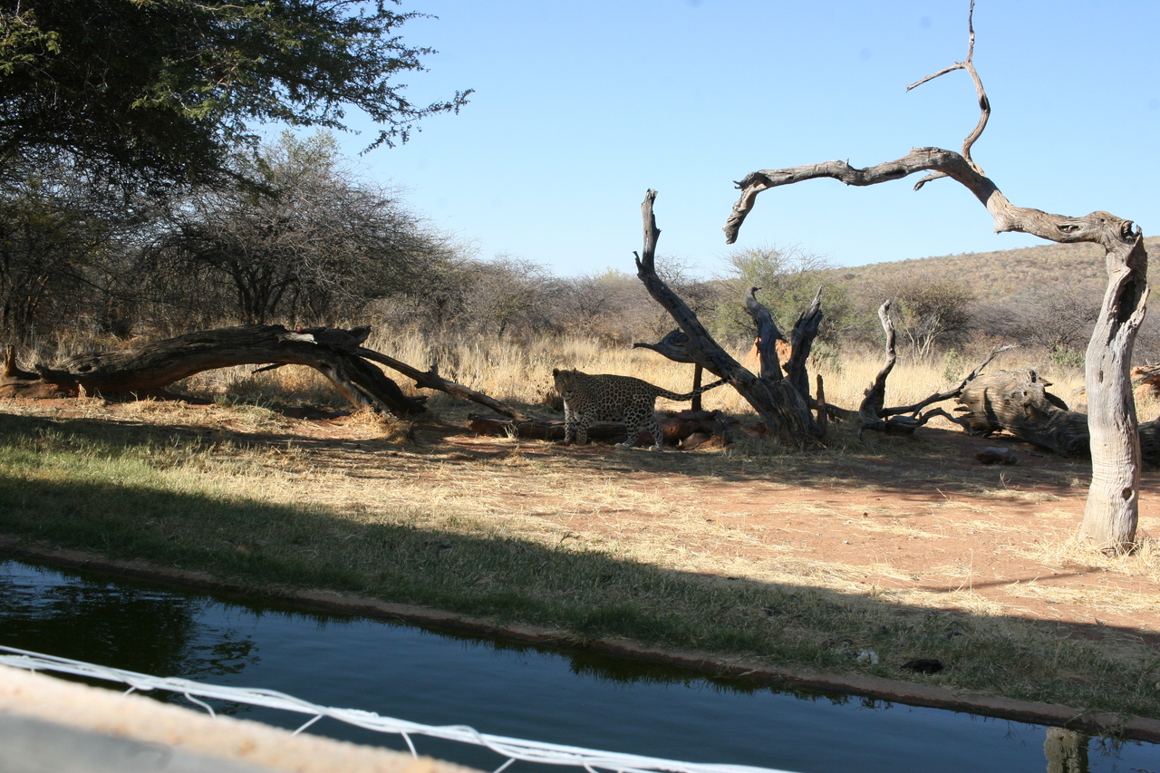 [6153] 2016_06_23_10_39_09_Africa_Canon_EOS_30D_IMG_1877_00321.jpg