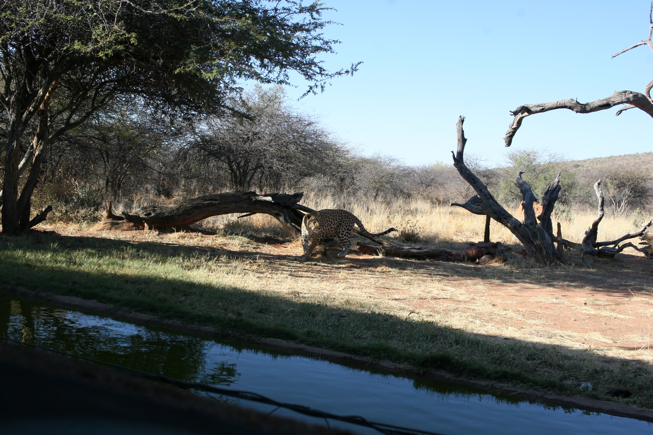 [6155] 2016_06_23_10_39_16_Africa_Canon_EOS_30D_IMG_1878_00322.jpg