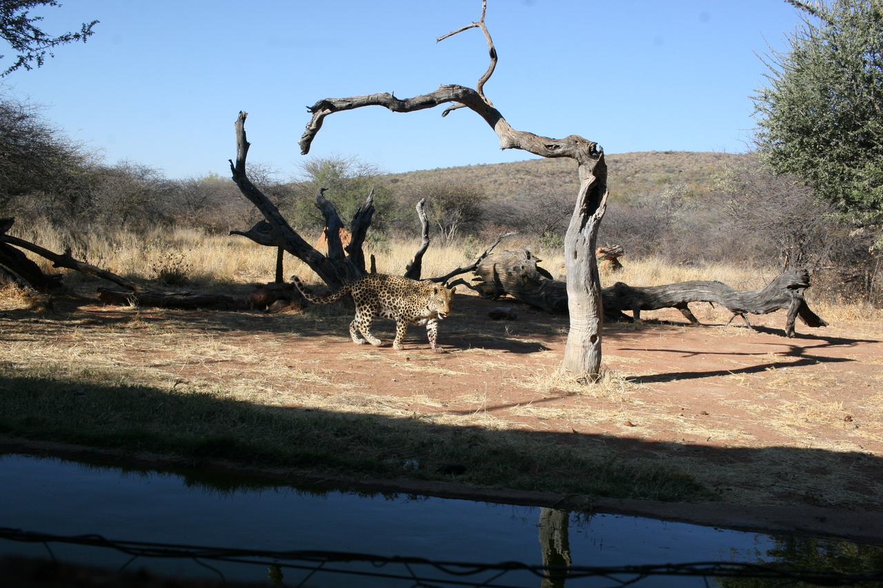 [6156] 2016_06_23_10_39_22_Africa_Canon_EOS_30D_IMG_1879_00144.jpg