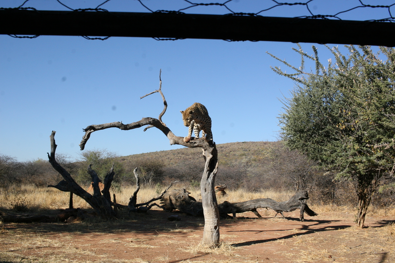 [6161] 2016_06_23_10_39_28_Africa_Canon_EOS_30D_IMG_1881_00325.jpg