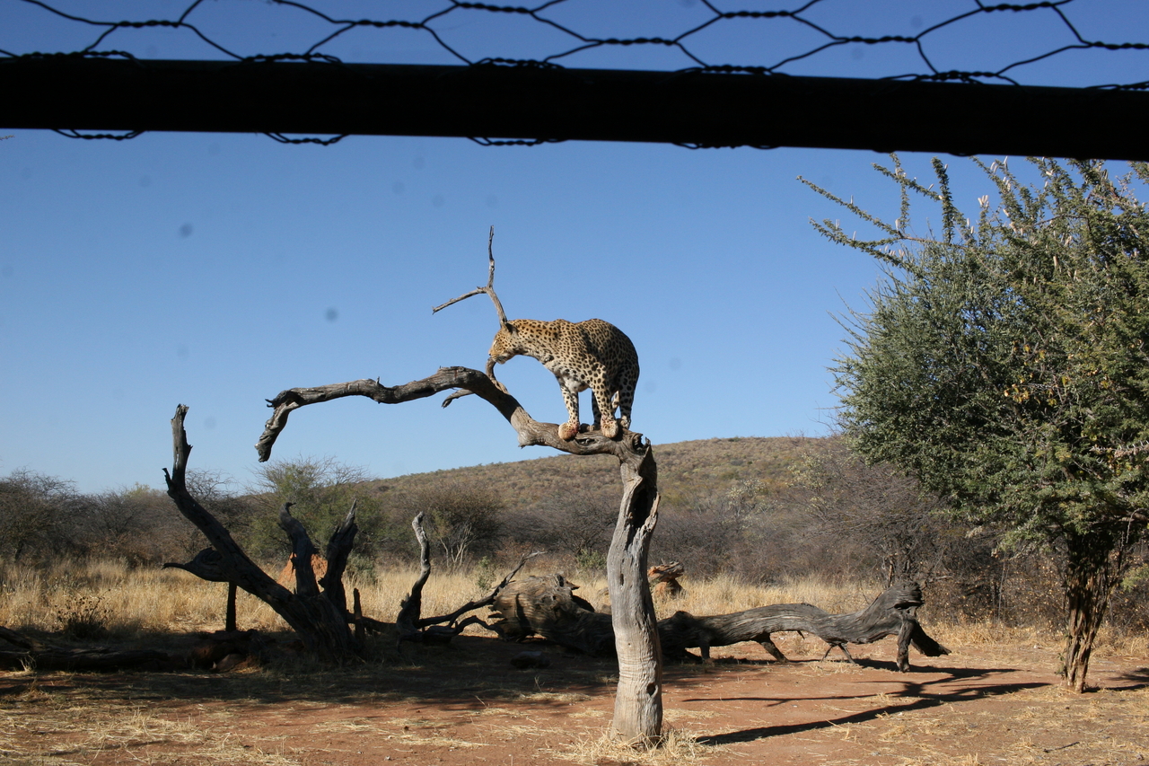 [6162] 2016_06_23_10_39_30_Africa_Canon_EOS_30D_IMG_1882_00147.jpg