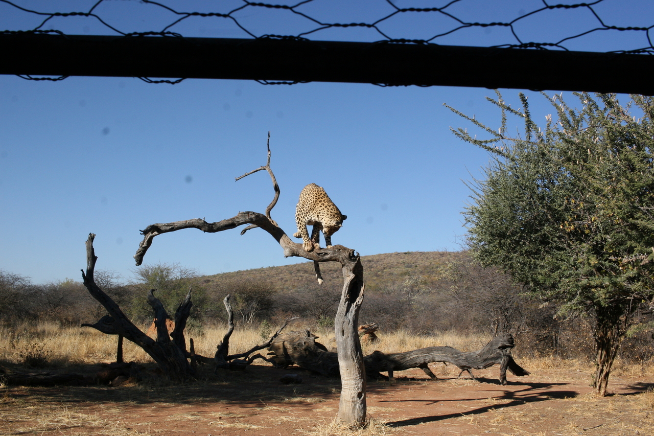 [6165] 2016_06_23_10_39_34_Africa_Canon_EOS_30D_IMG_1883_00327.jpg