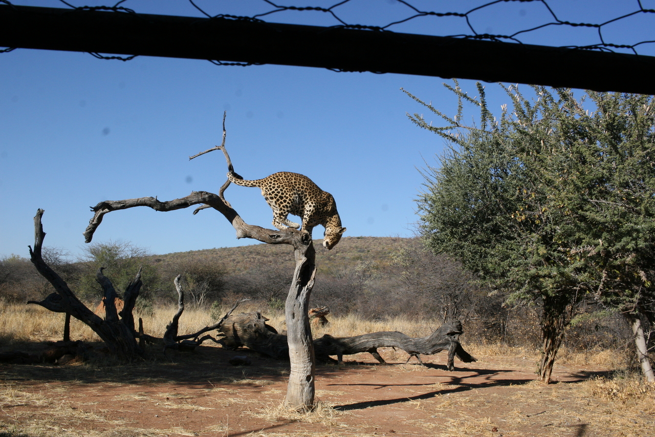 [6167] 2016_06_23_10_39_40_Africa_Canon_EOS_30D_IMG_1884_00328.jpg