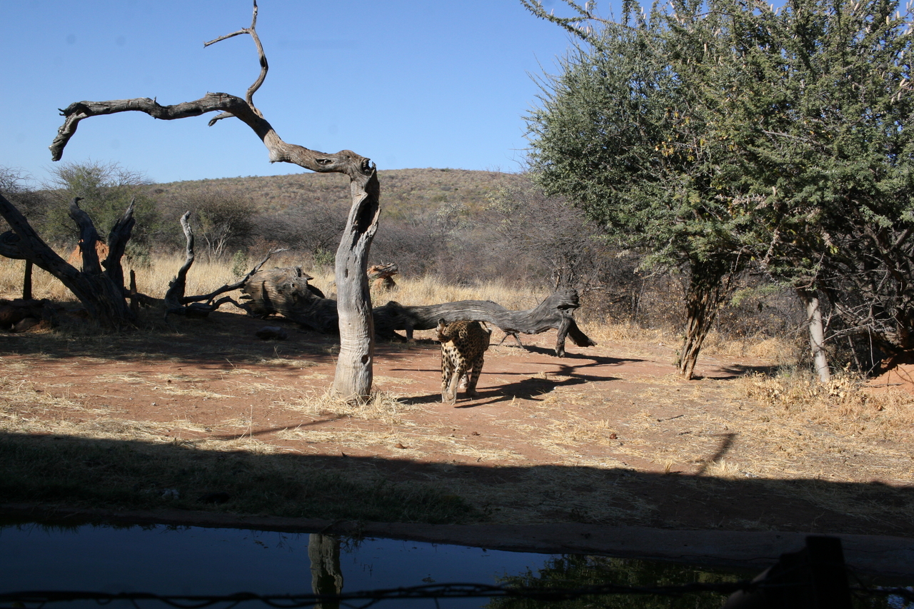 [6170] 2016_06_23_10_39_44_Africa_Canon_EOS_30D_IMG_1886_00151.jpg