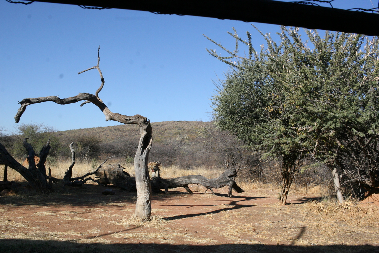 [6173] 2016_06_23_10_40_03_Africa_Canon_EOS_30D_IMG_1887_00331.jpg