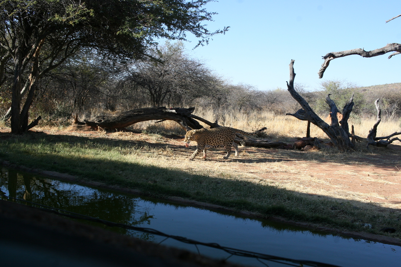 [6177] 2016_06_23_10_40_14_Africa_Canon_EOS_30D_IMG_1889_00333.jpg