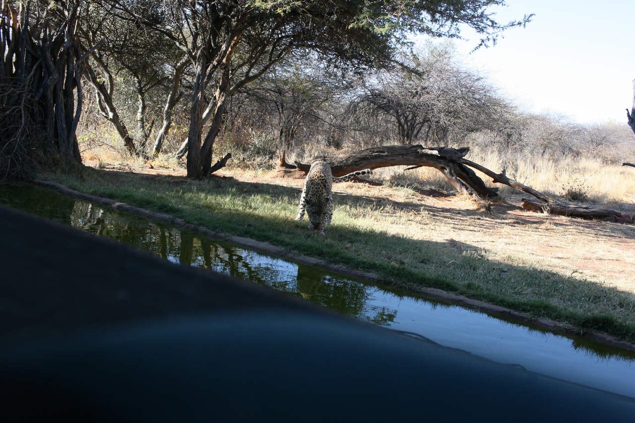 [6178] 2016_06_23_10_40_20_Africa_Canon_EOS_30D_IMG_1890_00155.jpg