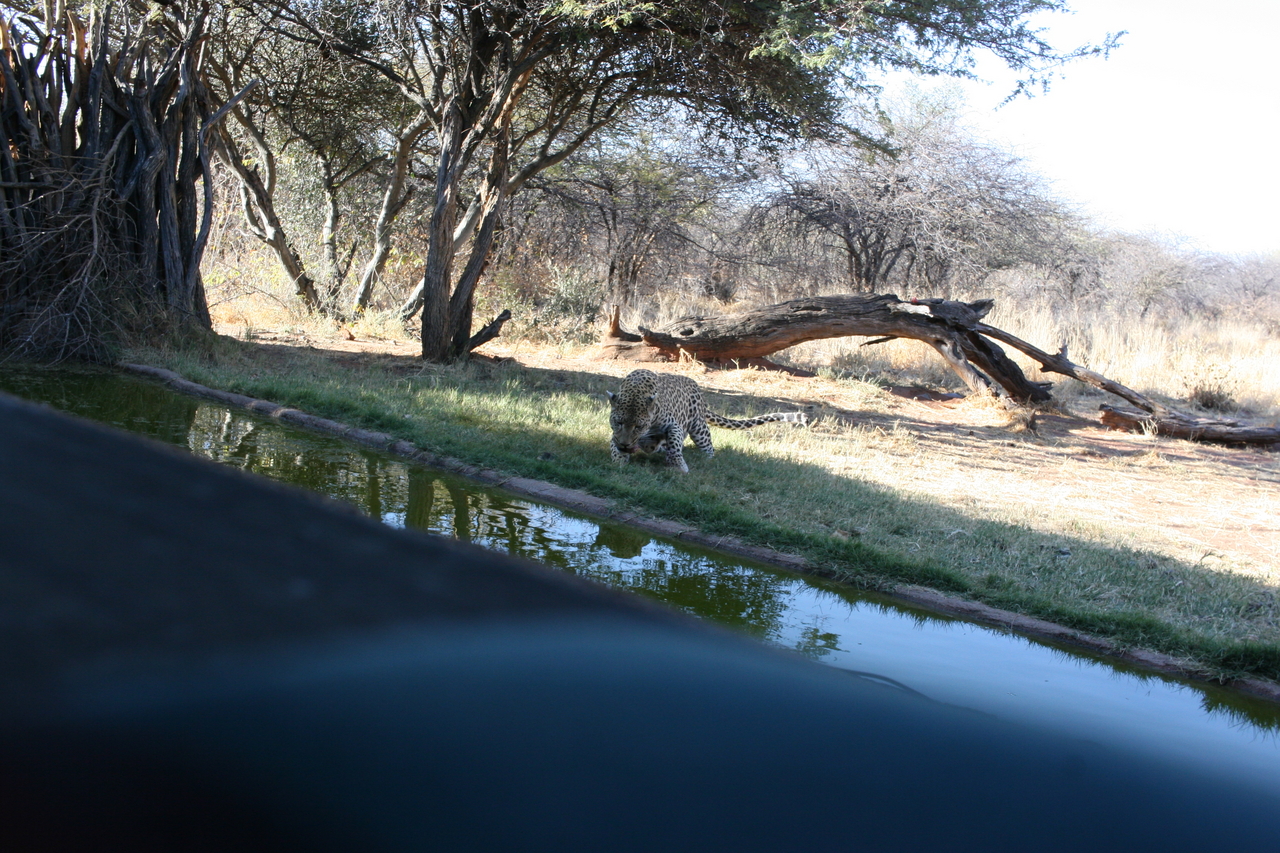 [6182] 2016_06_23_10_40_25_Africa_Canon_EOS_30D_IMG_1892_00157.jpg