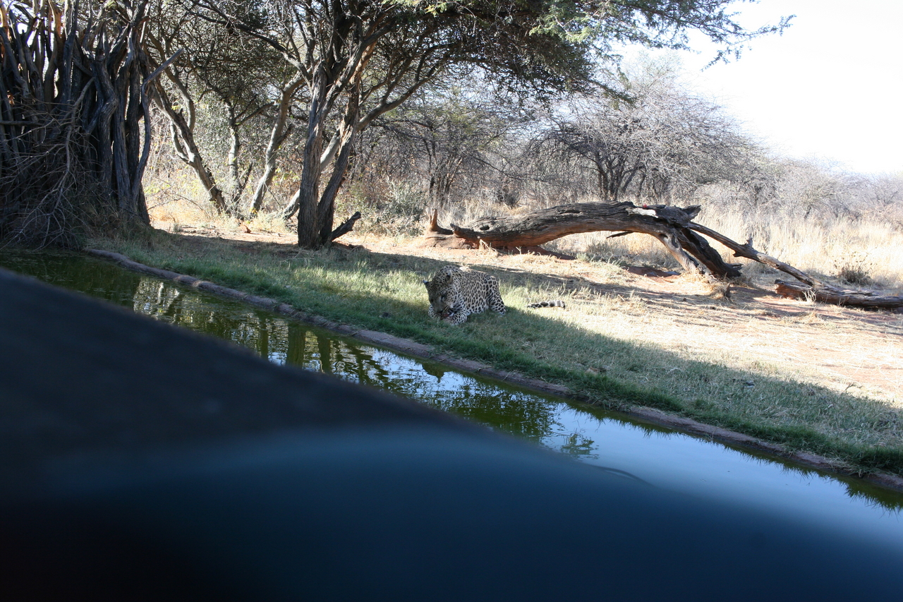 [6184] 2016_06_23_10_40_28_Africa_Canon_EOS_30D_IMG_1893_00158.jpg