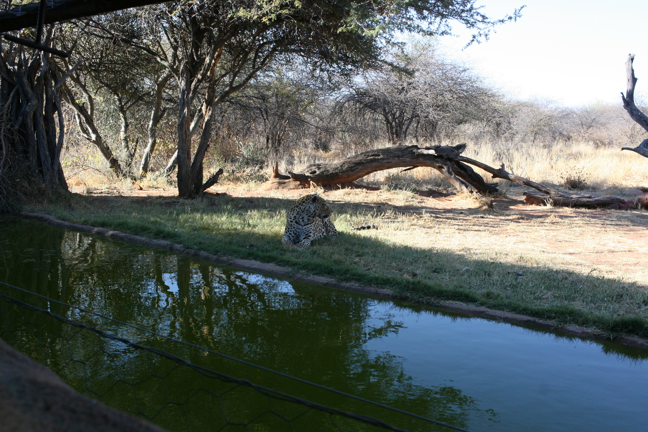 [6191] 2016_06_23_10_40_43_Africa_Canon_EOS_30D_IMG_1896_00340.jpg