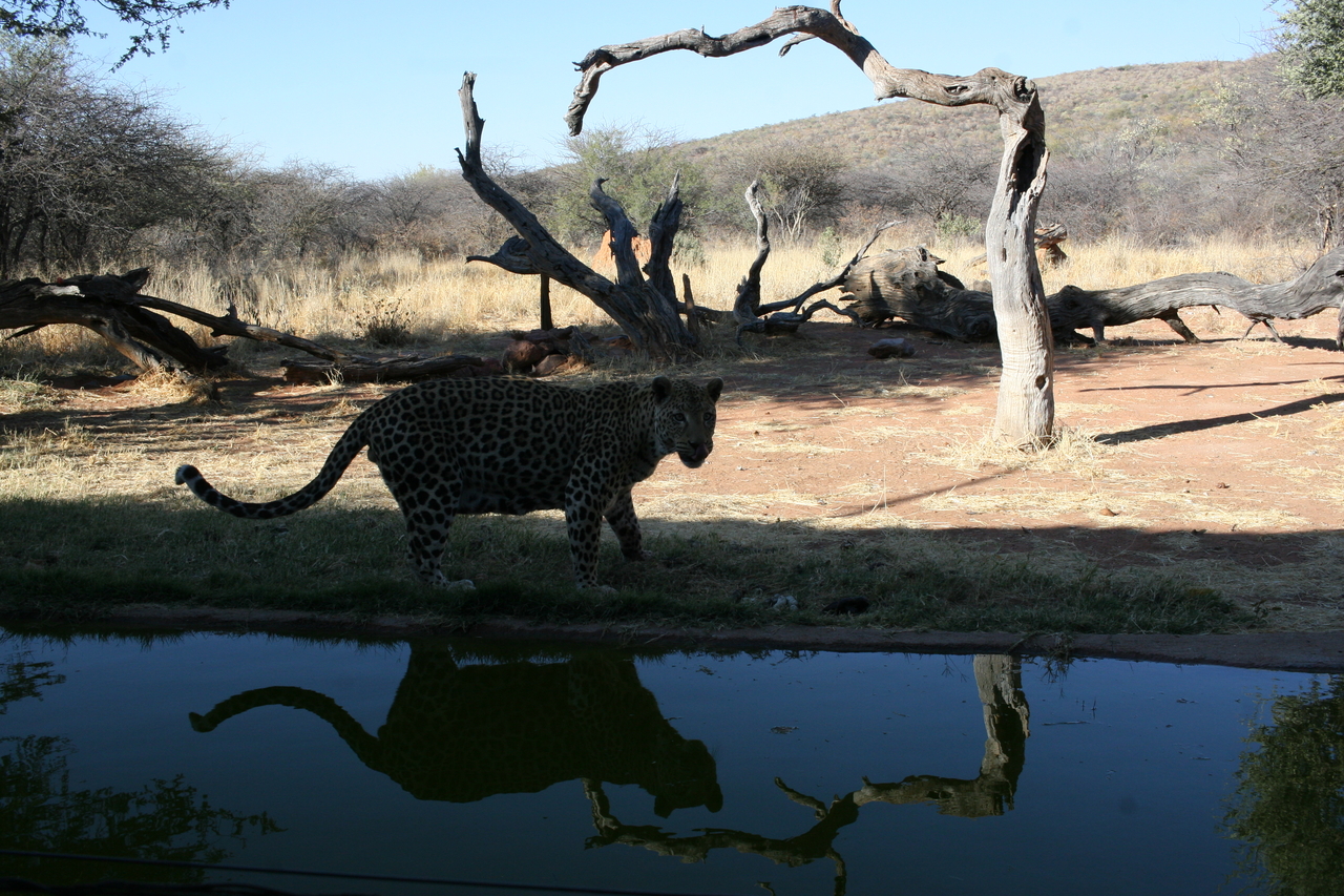 [6194] 2016_06_23_10_41_11_Africa_Canon_EOS_30D_IMG_1898_00163.jpg