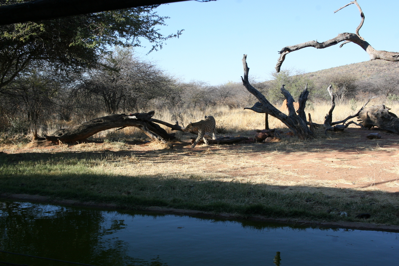 [6202] 2016_06_23_10_42_24_Africa_Canon_EOS_30D_IMG_1902_00167.jpg