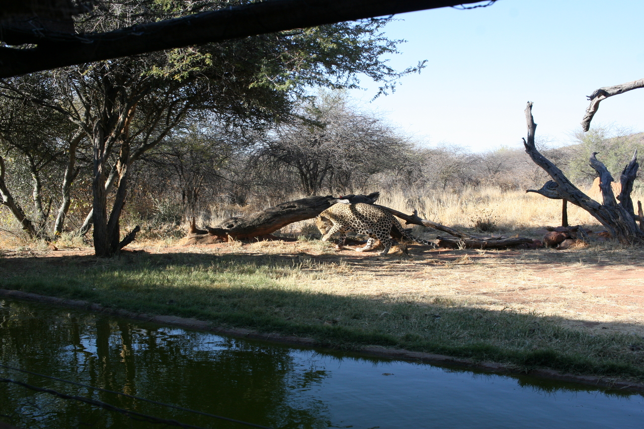 [6205] 2016_06_23_10_42_34_Africa_Canon_EOS_30D_IMG_1903_00347.jpg