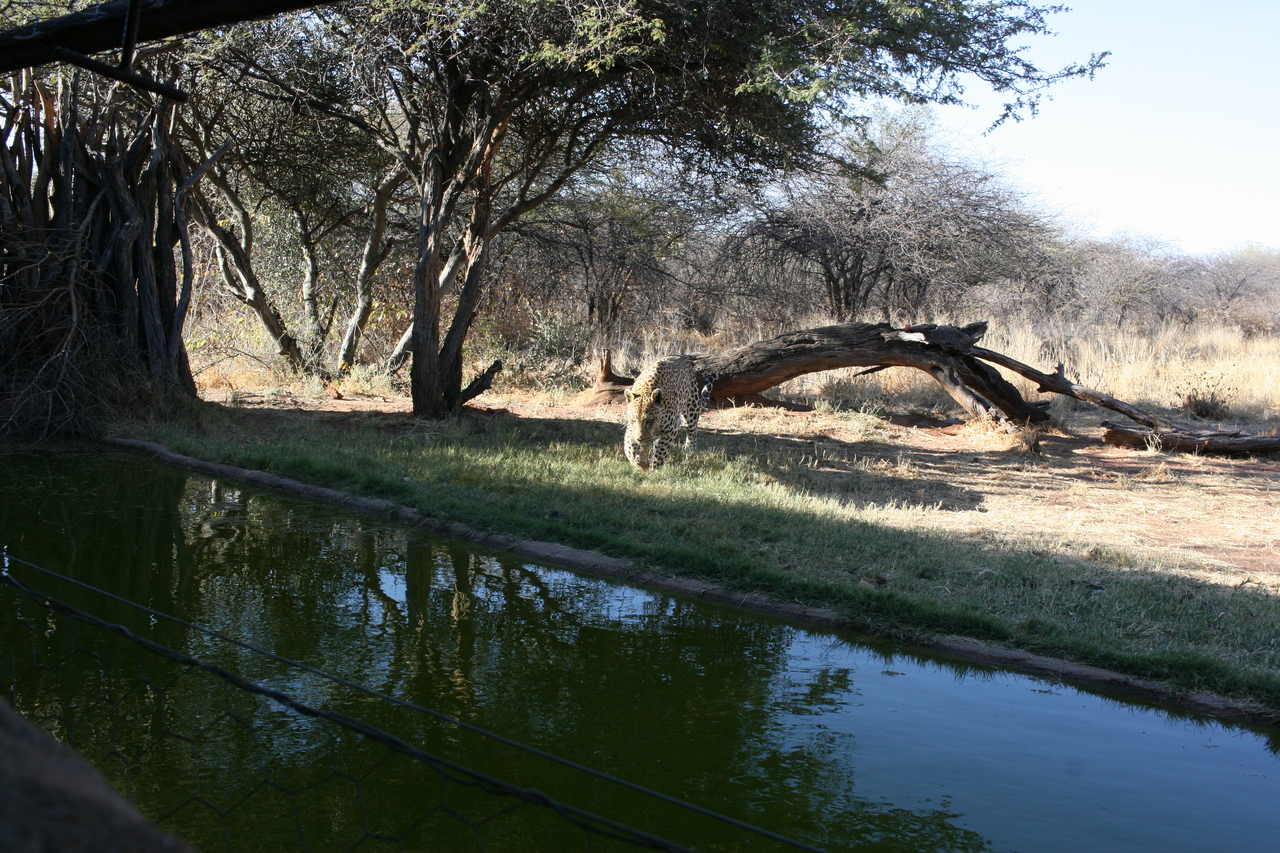 [6206] 2016_06_23_10_42_53_Africa_Canon_EOS_30D_IMG_1904_00169.jpg