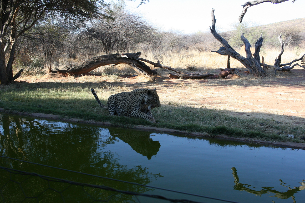 [6208] 2016_06_23_10_43_03_Africa_Canon_EOS_30D_IMG_1905_00170.jpg