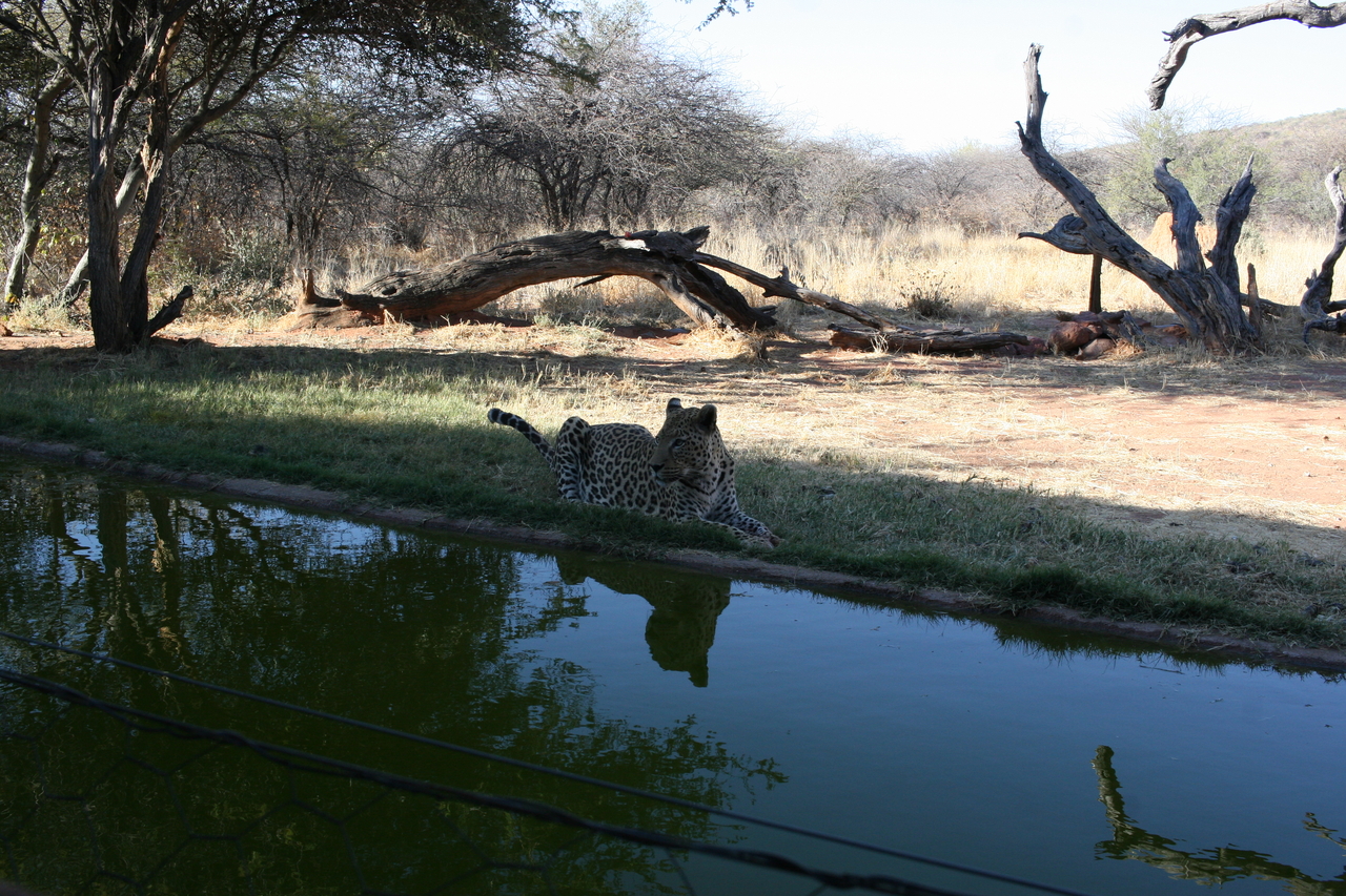 [6210] 2016_06_23_10_43_13_Africa_Canon_EOS_30D_IMG_1906_00171.jpg