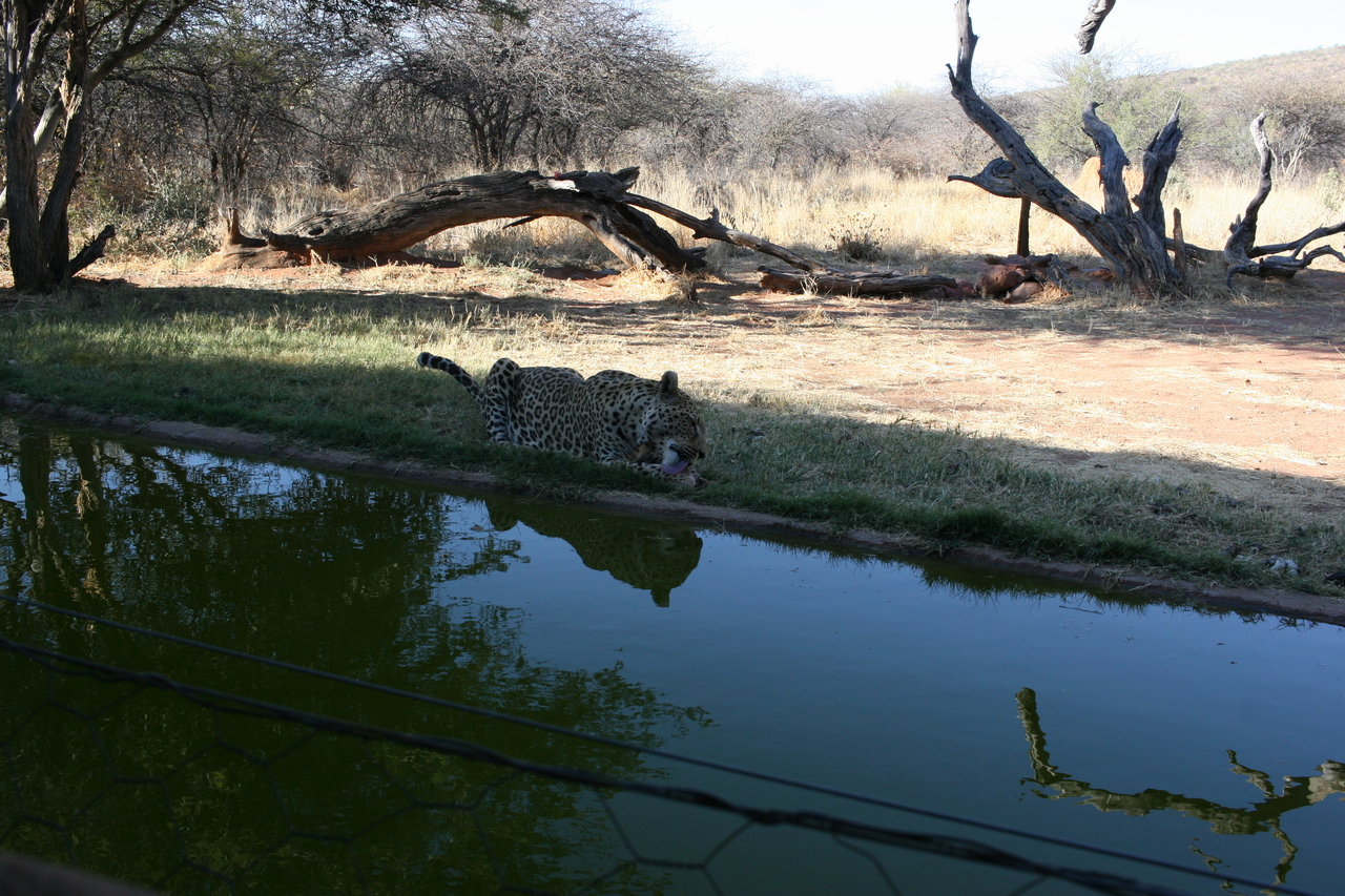 [6212] 2016_06_23_10_43_15_Africa_Canon_EOS_30D_IMG_1907_00172.jpg