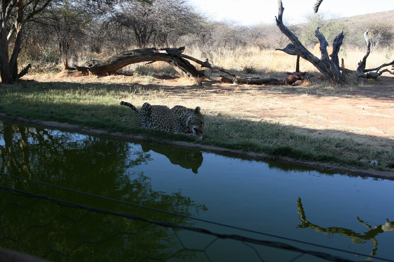 [6214] 2016_06_23_10_43_18_Africa_Canon_EOS_30D_IMG_1908_00173.jpg