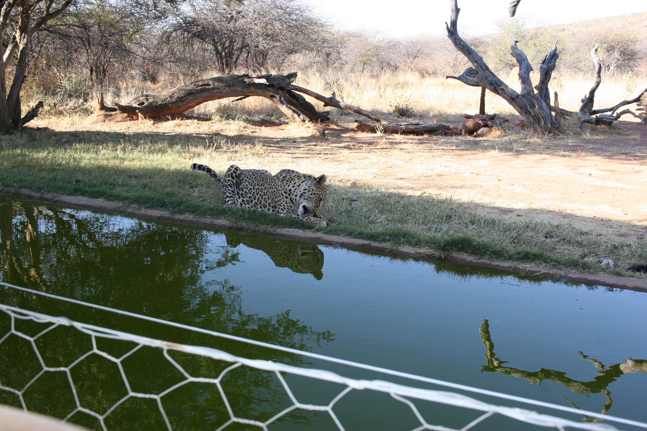 [6216] 2016_06_23_10_43_19_Africa_Canon_EOS_30D_IMG_1909_00174.jpg