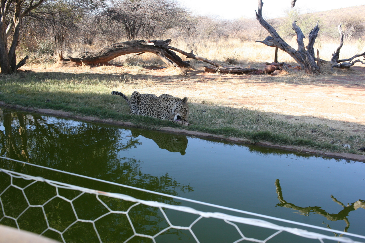 [6218] 2016_06_23_10_43_21_Africa_Canon_EOS_30D_IMG_1910_00175.jpg