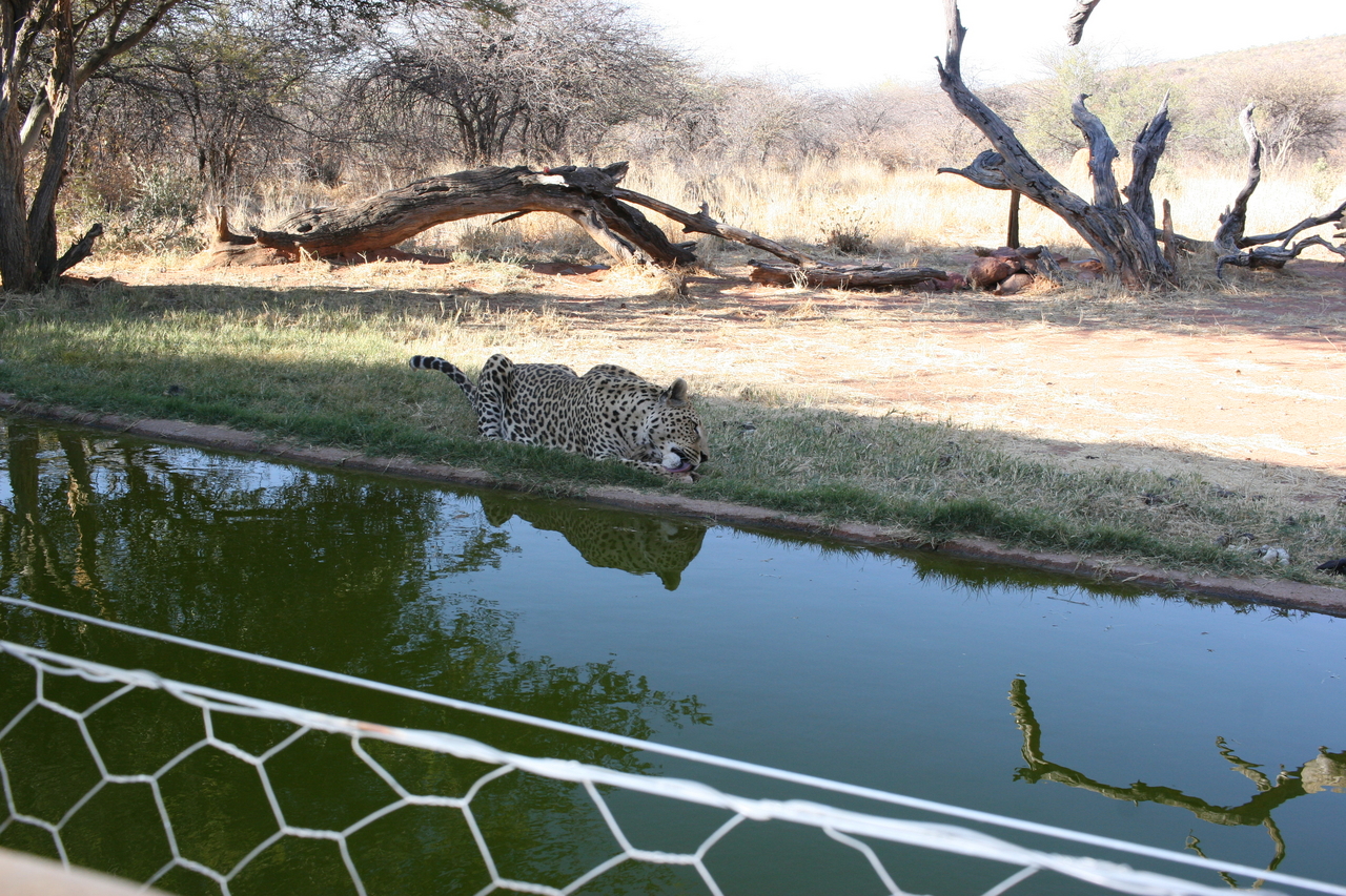 [6222] 2016_06_23_10_43_24_Africa_Canon_EOS_30D_IMG_1912_00177.jpg