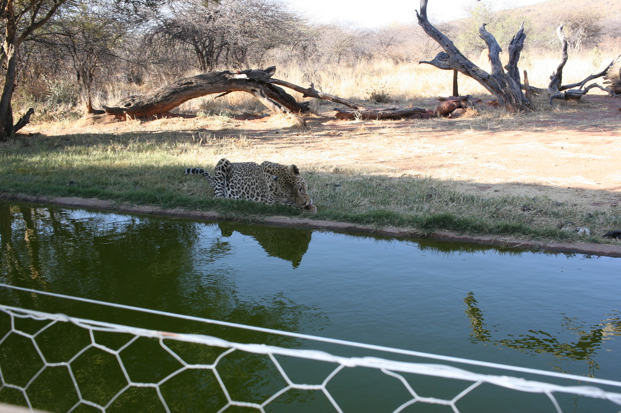 [6253] 2016_06_23_10_44_06_Africa_Canon_EOS_30D_IMG_1915_00359.jpg