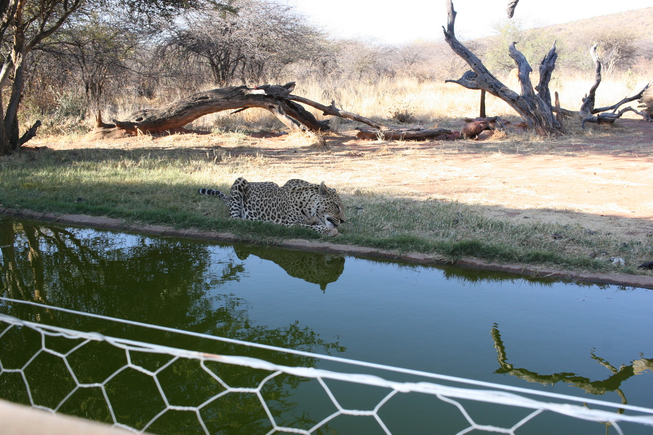 [6272] 2016_06_23_10_44_32_Africa_Canon_EOS_30D_IMG_1916_00181.jpg