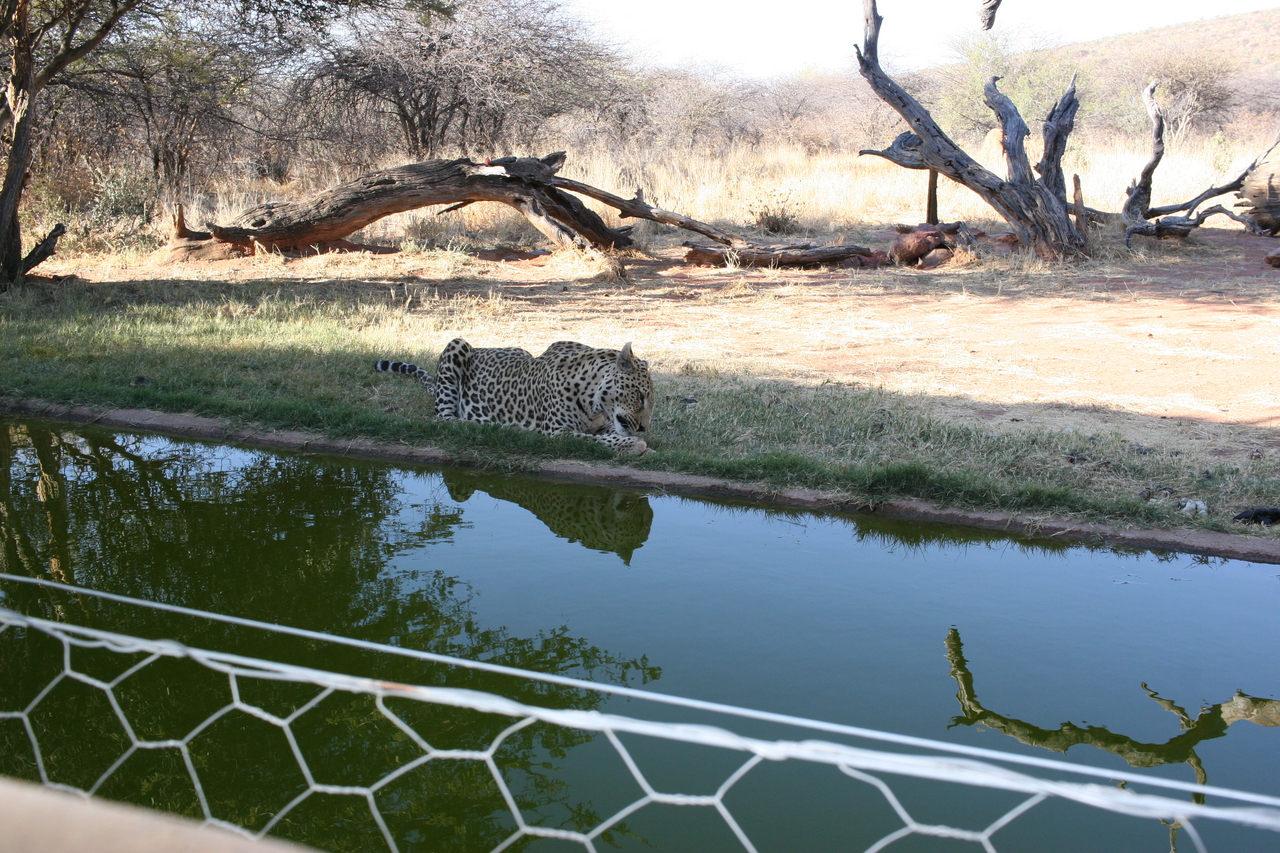 [6274] 2016_06_23_10_44_33_Africa_Canon_EOS_30D_IMG_1917_00182.jpg