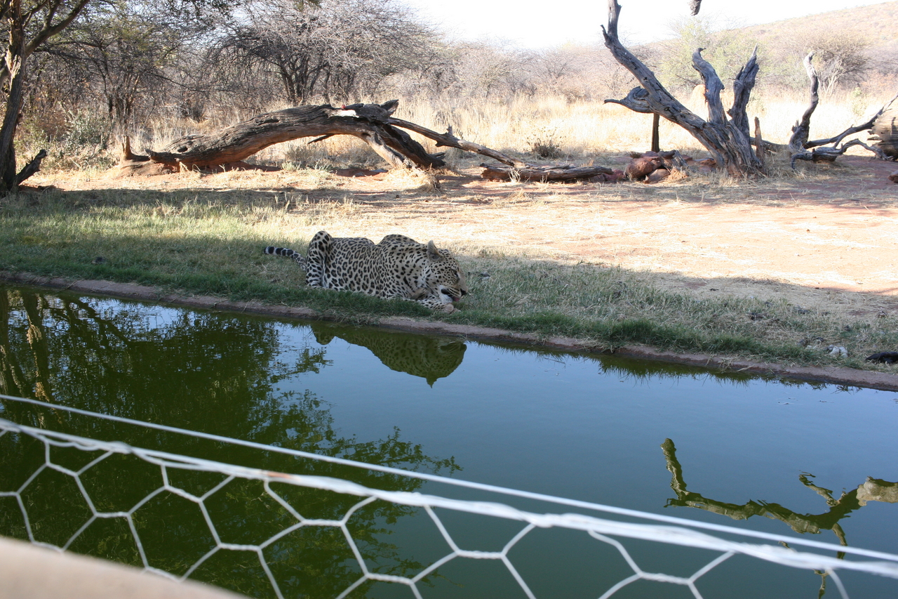 [6276] 2016_06_23_10_44_35_Africa_Canon_EOS_30D_IMG_1918_00183.jpg