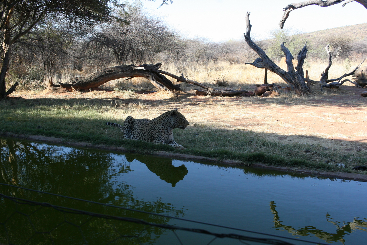 [6279] 2016_06_23_10_44_38_Africa_Canon_EOS_30D_IMG_1919_00363.jpg