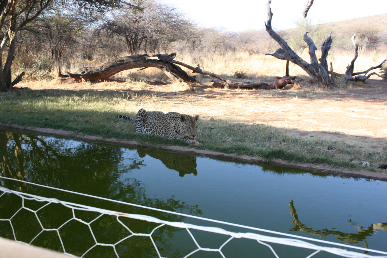 [6280] 2016_06_23_10_44_44_Africa_Canon_EOS_30D_IMG_1920_00185.jpg