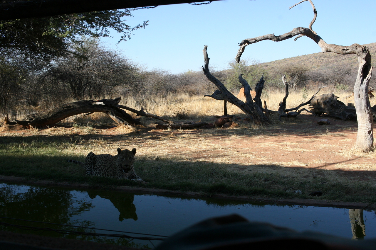 [6296] 2016_06_23_10_45_13_Africa_Canon_EOS_30D_IMG_1923_00367.jpg