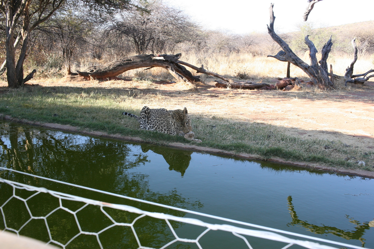 [6306] 2016_06_23_10_45_39_Africa_Canon_EOS_30D_IMG_1925_00369.jpg