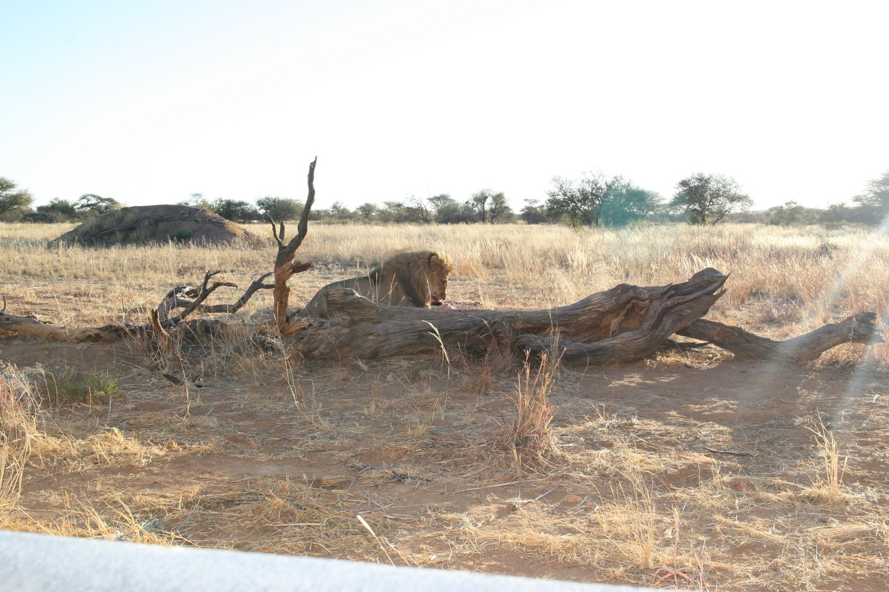 [8369] 2016_06_23_11_53_58_Africa_Canon_EOS_30D_IMG_1929_00373.jpg