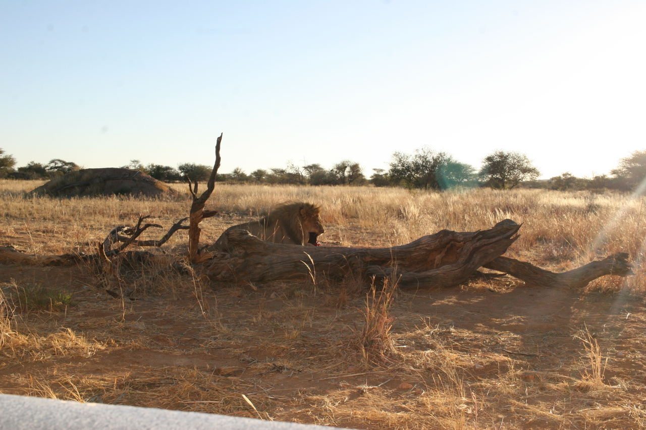 [8560] 2016_06_23_11_54_47_Africa_Canon_EOS_30D_IMG_1933_00377.jpg