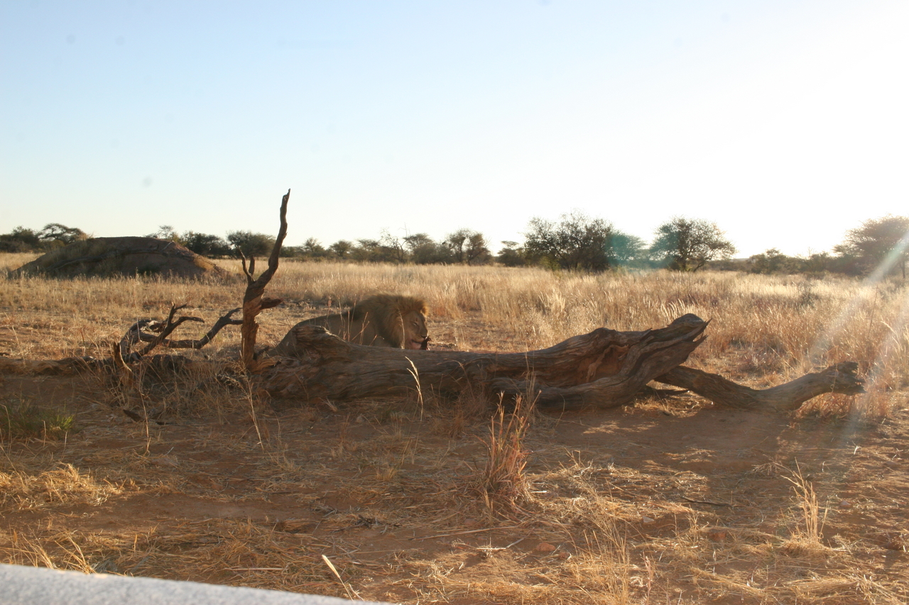 [8609] 2016_06_23_11_55_07_Africa_Canon_EOS_30D_IMG_1934_00199.jpg