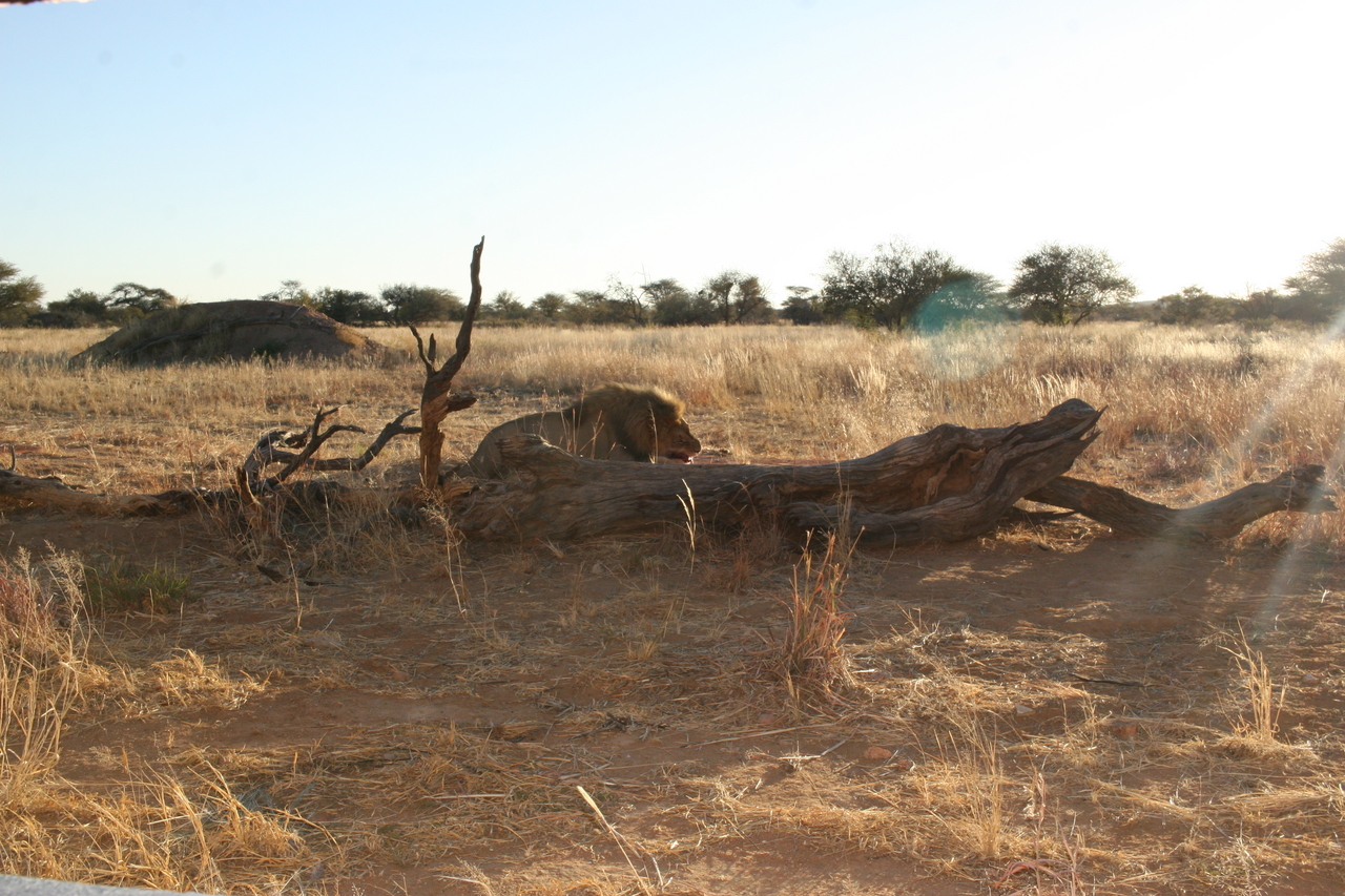 [8688] 2016_06_23_11_56_22_Africa_Canon_EOS_30D_IMG_1938_00203.jpg