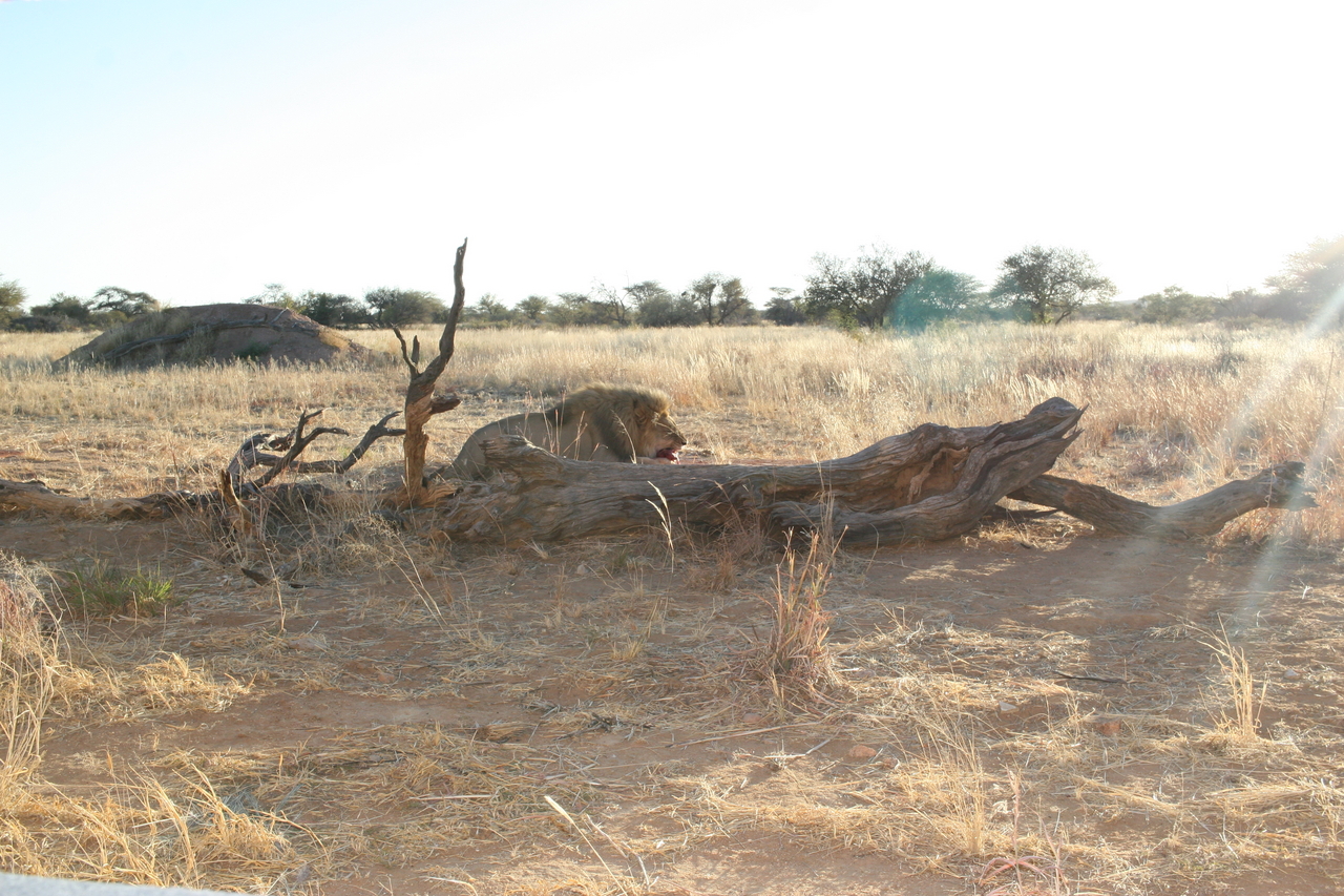 [8690] 2016_06_23_11_56_26_Africa_Canon_EOS_30D_IMG_1939_00204.jpg