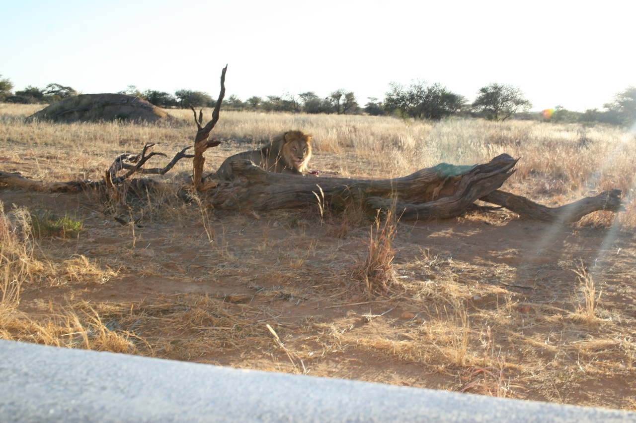 [8698] 2016_06_23_11_56_39_Africa_Canon_EOS_30D_IMG_1940_00205.jpg