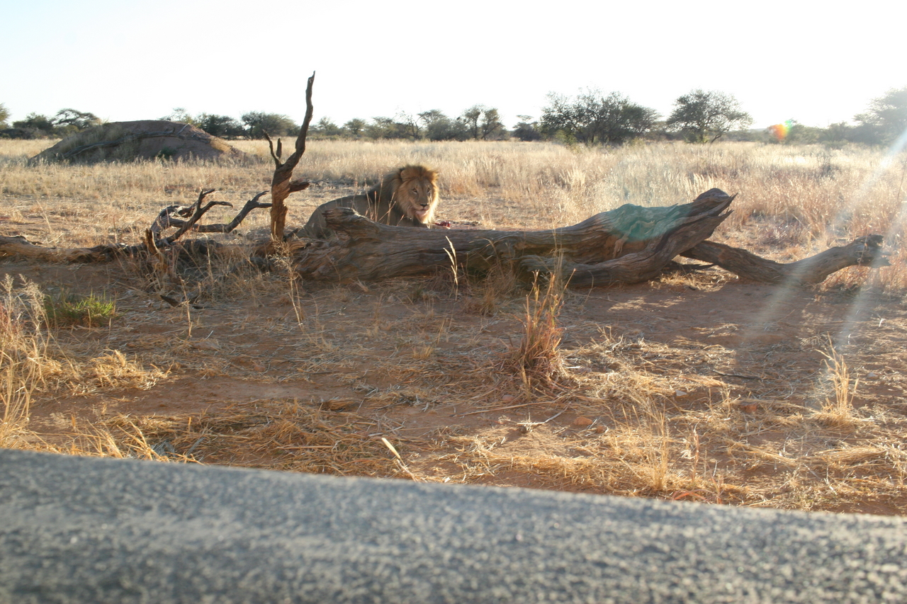 [8712] 2016_06_23_11_56_41_Africa_Canon_EOS_30D_IMG_1942_00386.jpg