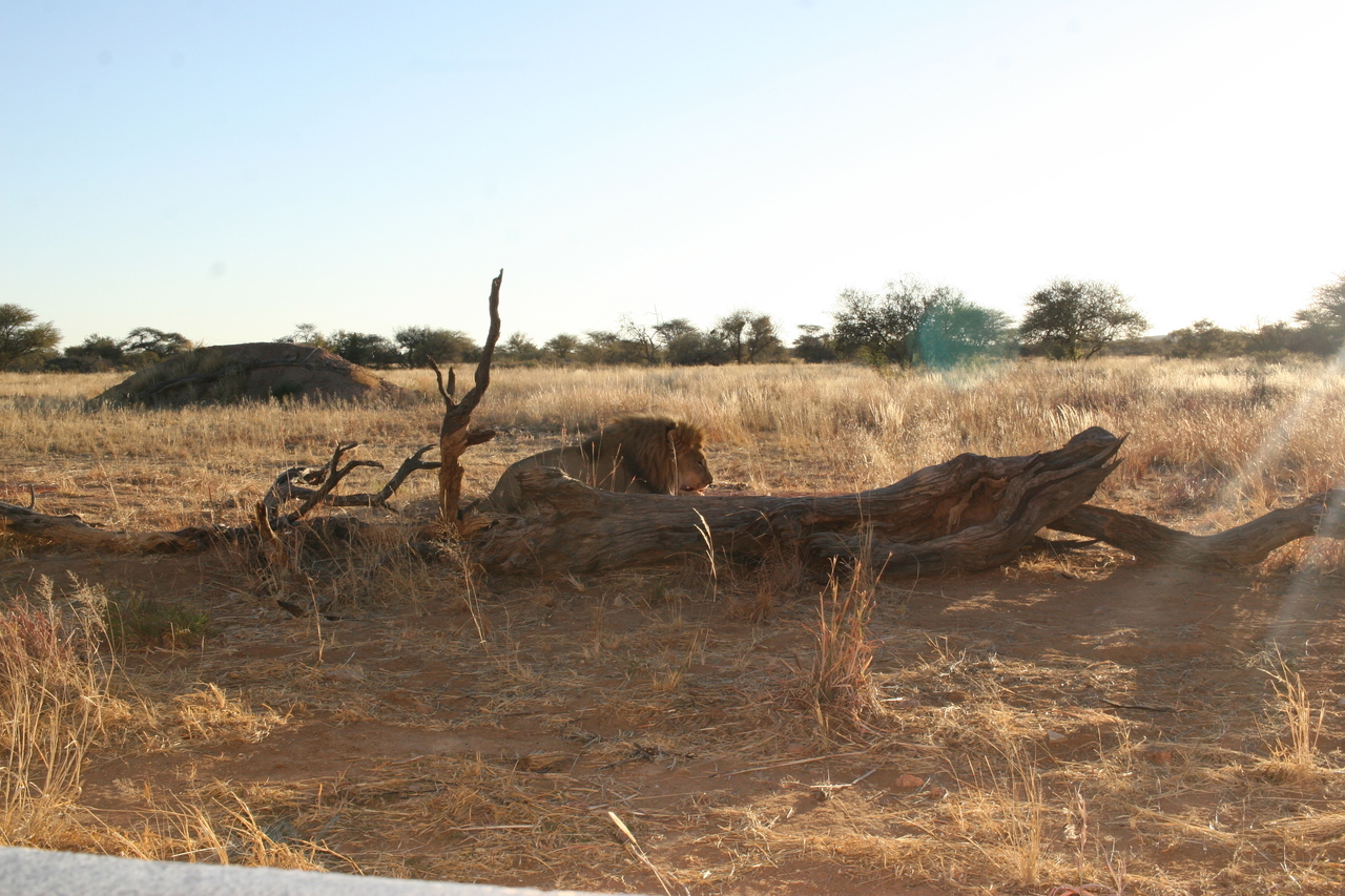 [8714] 2016_06_23_11_56_42_Africa_Canon_EOS_30D_IMG_1943_00387.jpg