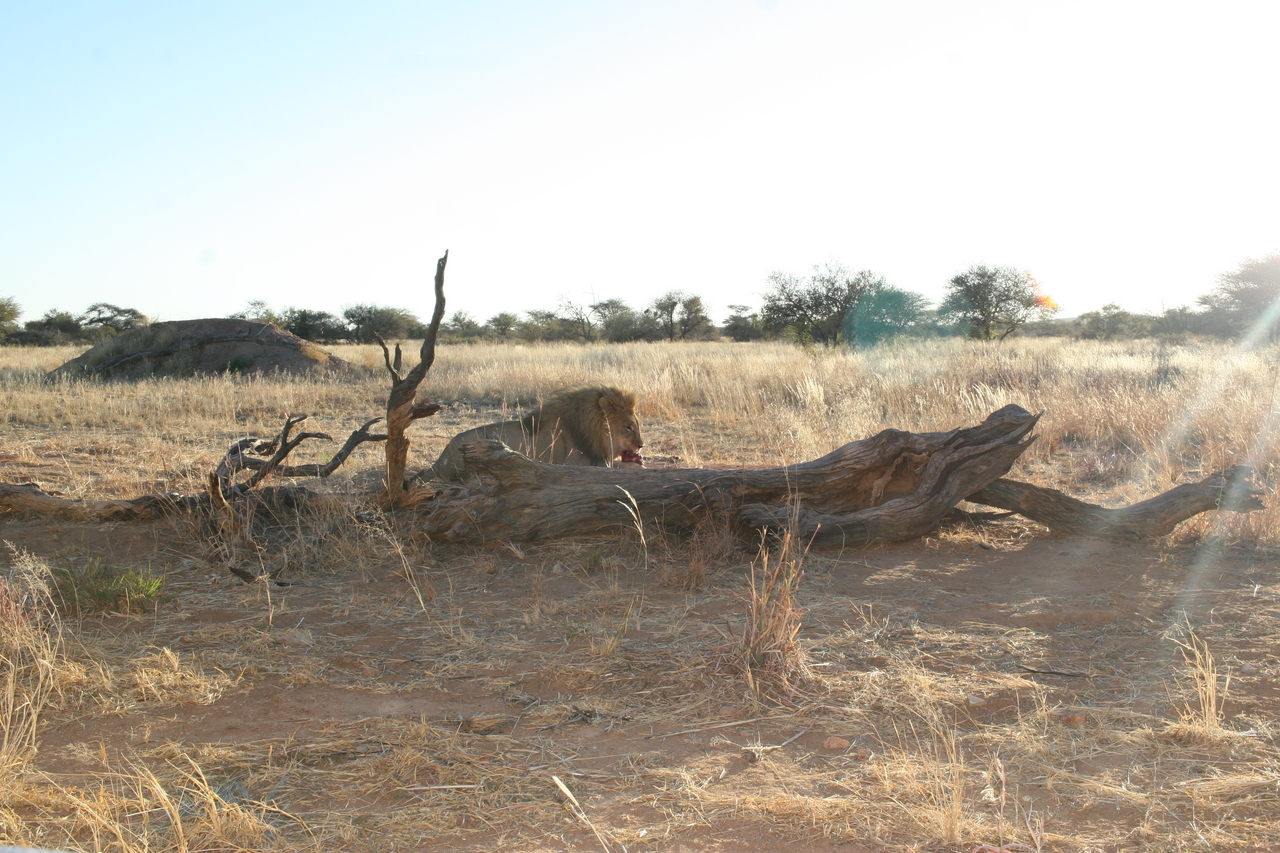 [8750] 2016_06_23_11_57_38_Africa_Canon_EOS_30D_IMG_1945_00210.jpg