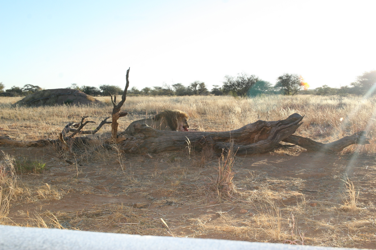 [8753] 2016_06_23_11_58_52_Africa_Canon_EOS_30D_IMG_1946_00390.jpg