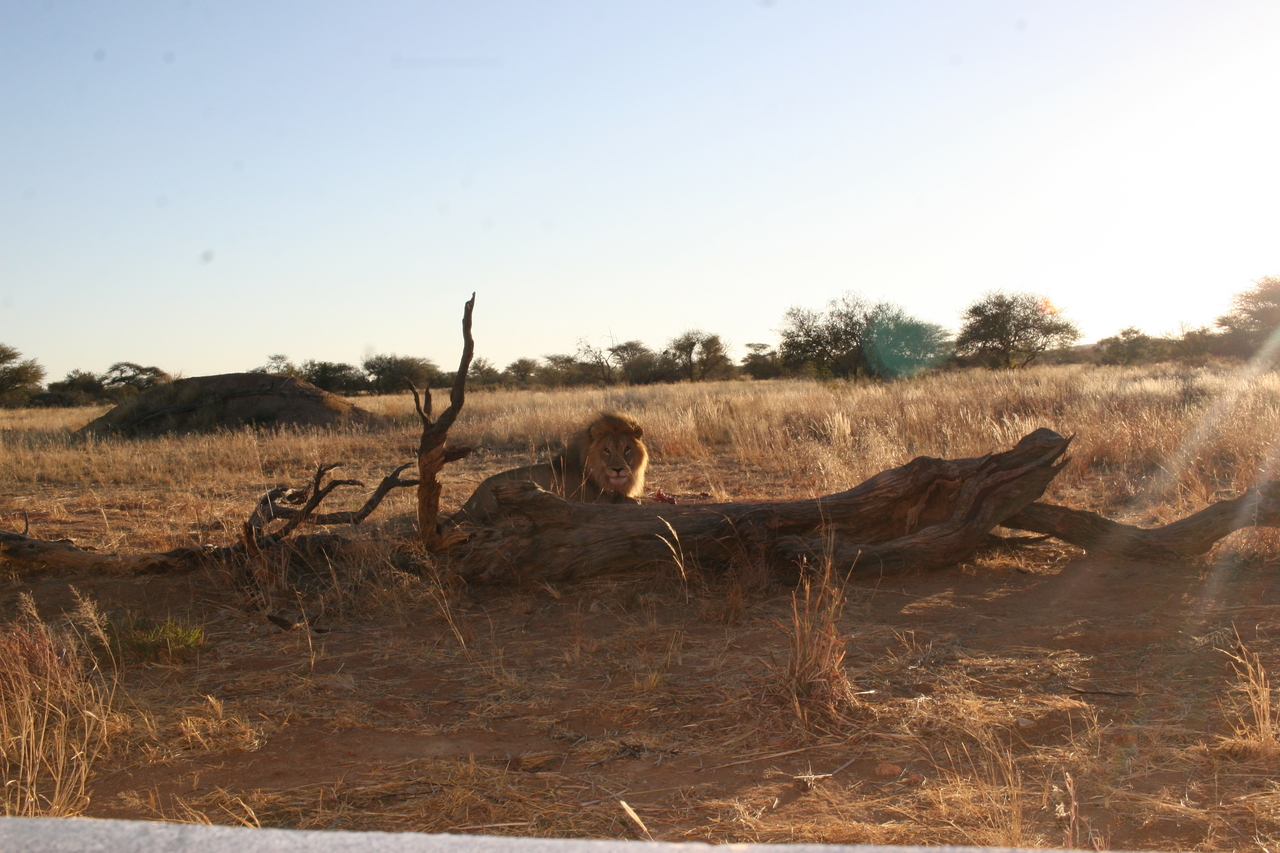 [8757] 2016_06_23_11_59_07_Africa_Canon_EOS_30D_IMG_1948_00392.jpg